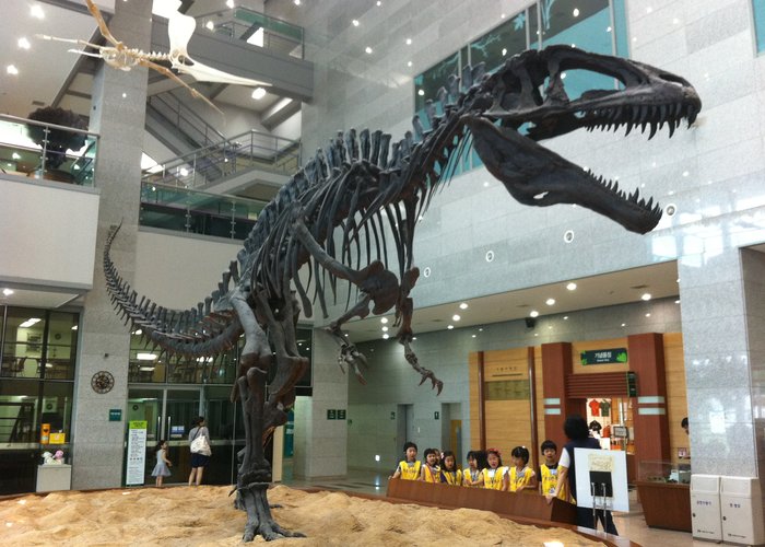 Seodaemun Museum of Natural History