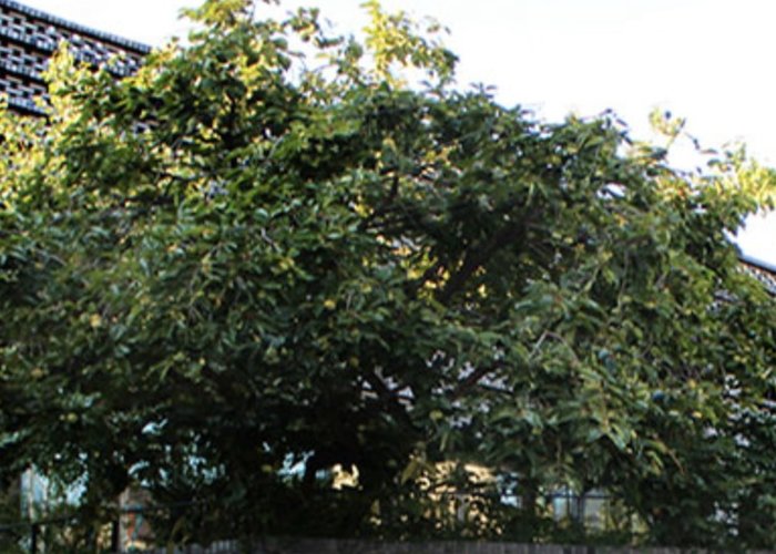 The War and Women′s Human Rights Museum