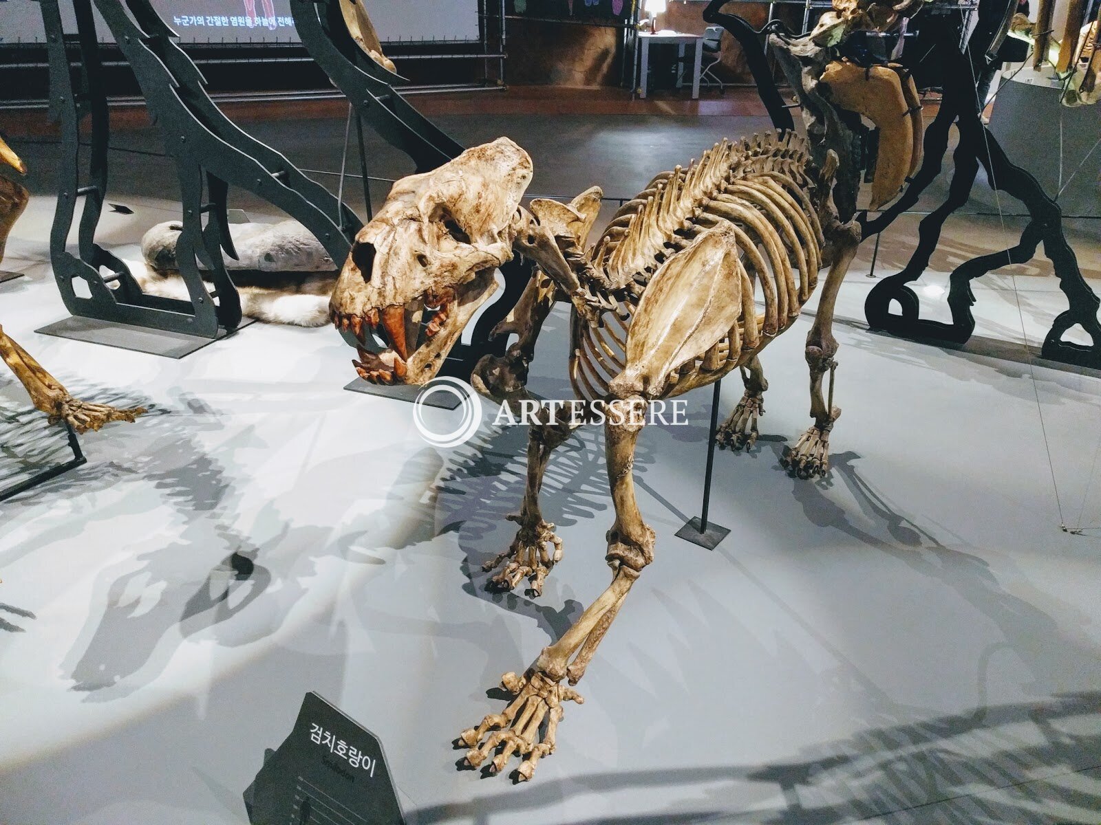 Jeongok Prehistory Museum