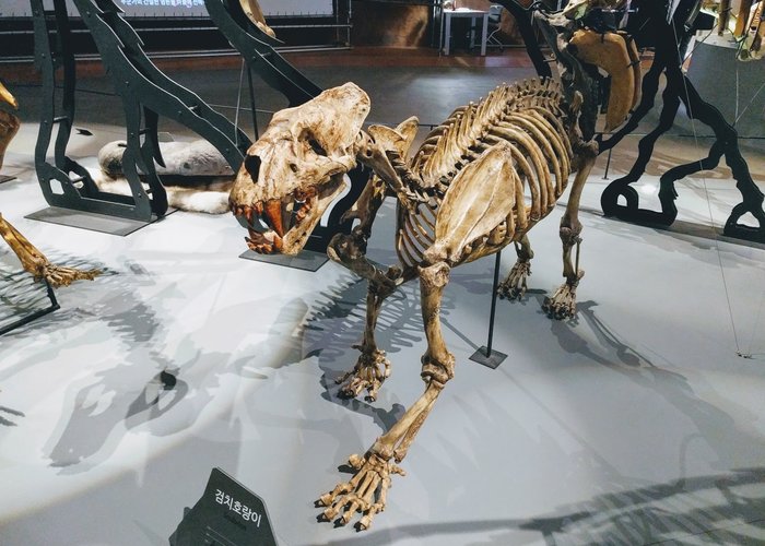 Jeongok Prehistory Museum