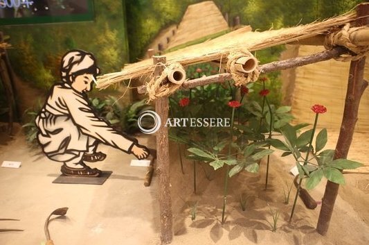 Yeongju Insam Museum