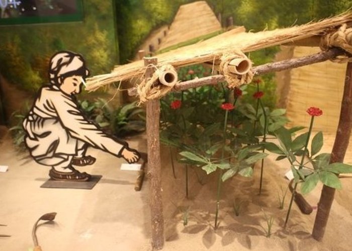 Yeongju Insam Museum