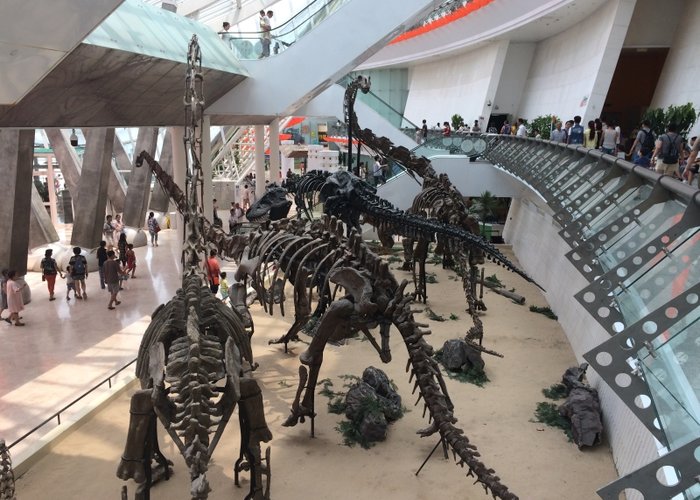 Tianjin Natural History Museum