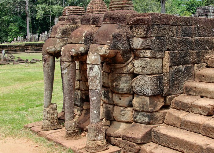 Terrace of the Elephants