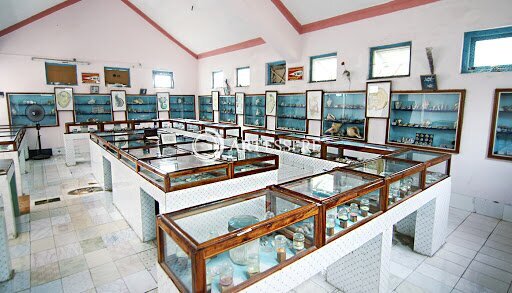 Shell Museum