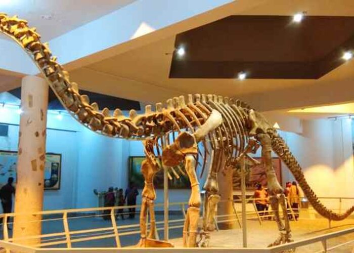 Birla Science Center