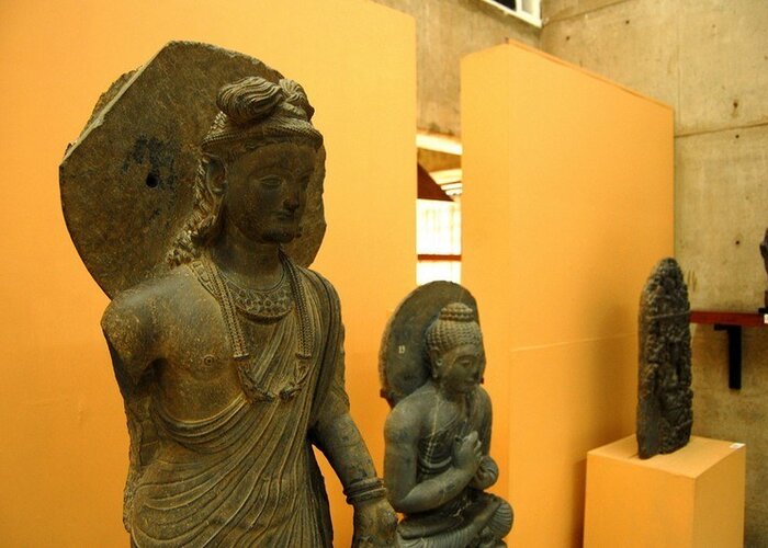 Zonal Anthropological Museum