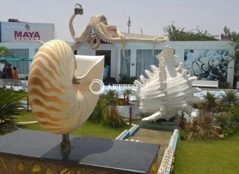 India Seashell Museum