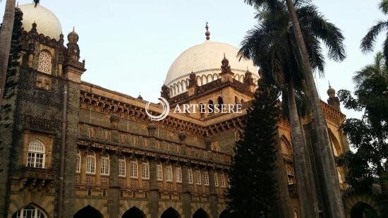 Archaeological Survey of India Museum
