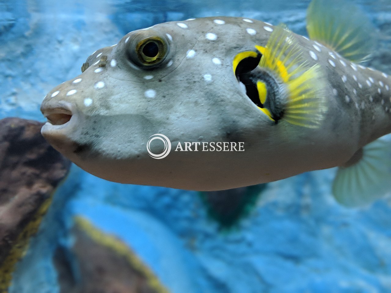 Ratnagiri Marine Musuem