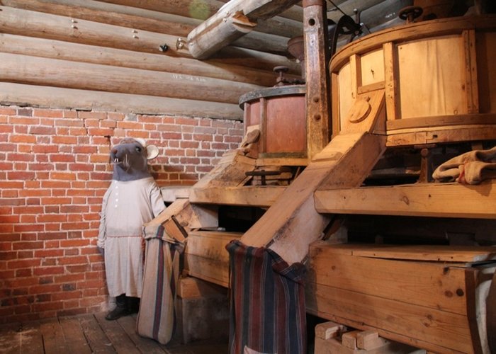 The Museum «Miller House»