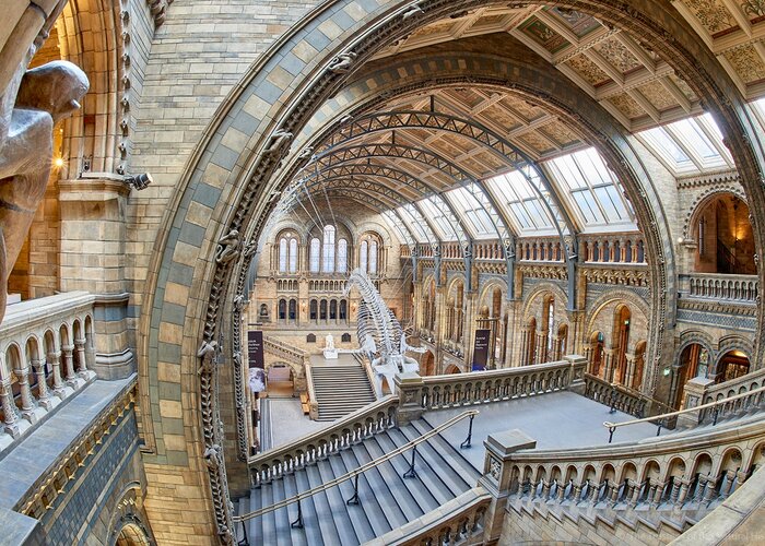 The Natural History Museum Thiruvananthapuram