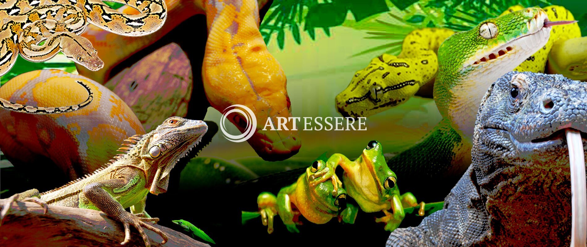 Taman Reptil dan Museum Komodo