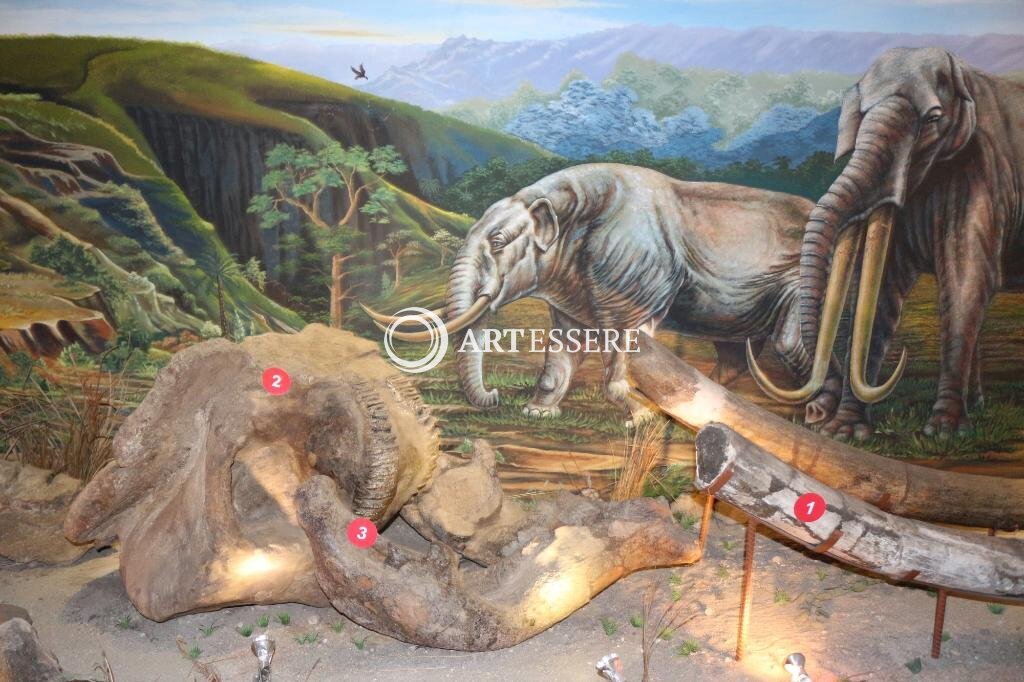 Sangiran Museum and Early Man Site