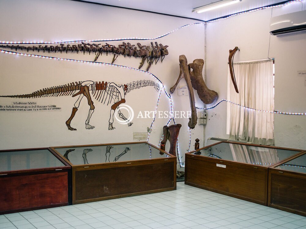 The Savannakhet Dinosaur Museum