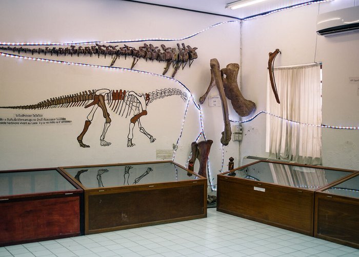 The Savannakhet Dinosaur Museum