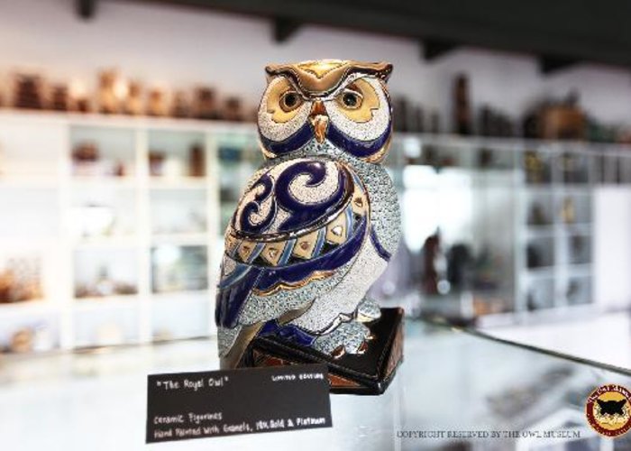The Owl Museum