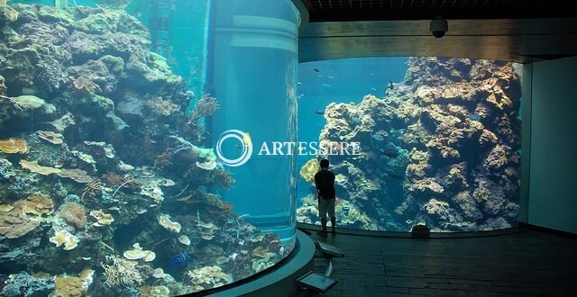 Marine Aquarium and Museum