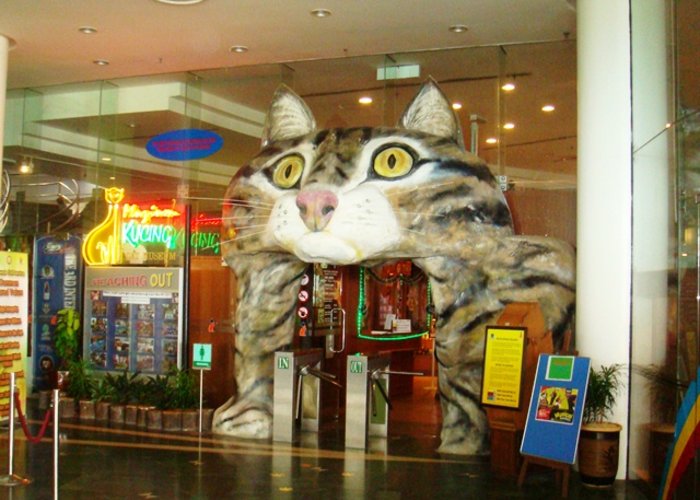 Cat Museum