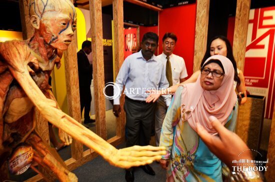 The Discovery Of The Body