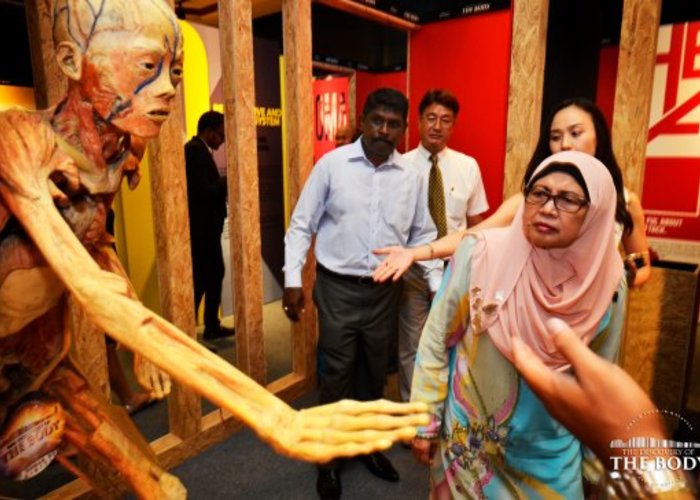 The Discovery Of The Body