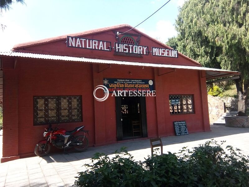 The Natural History Museum