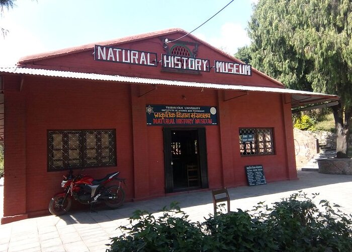 The Natural History Museum