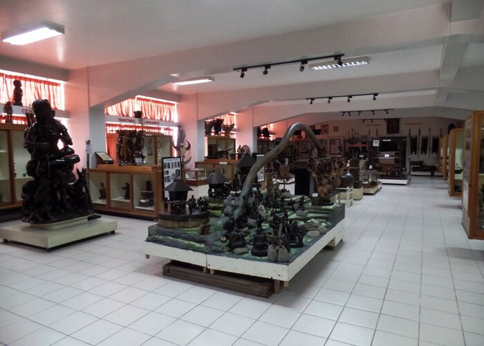 Museum of Arts & Cultures