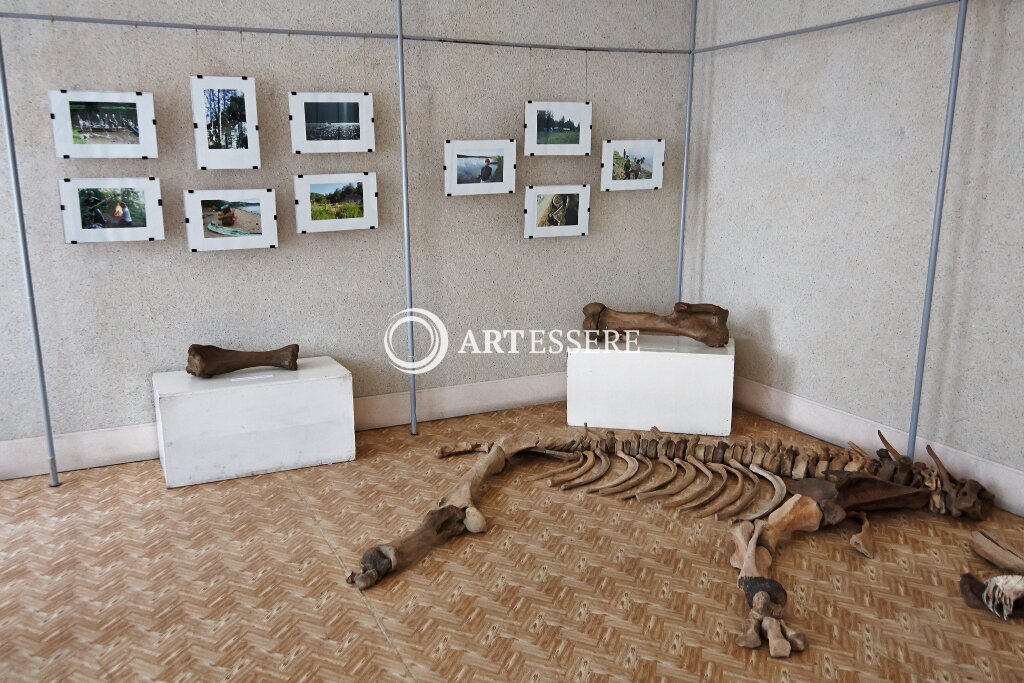 The Museum of History of Nizhny Tagil State Socio-Pedagogical Institute