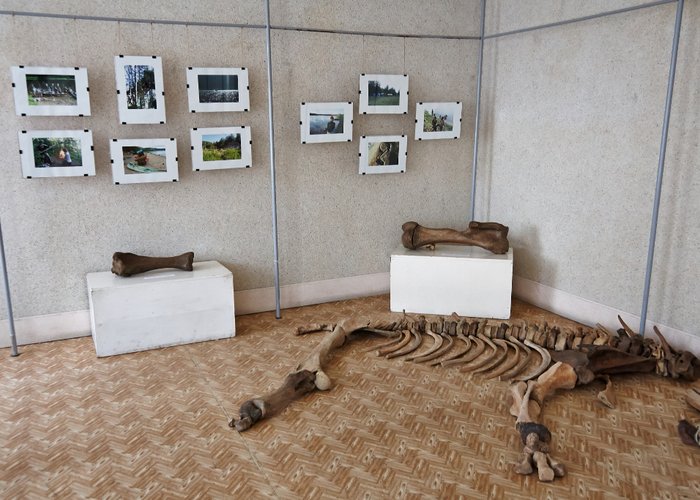 The Museum of History of Nizhny Tagil State Socio-Pedagogical Institute