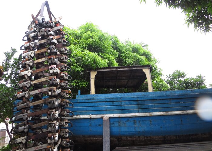 Palawan Environmental Enforcement Museum