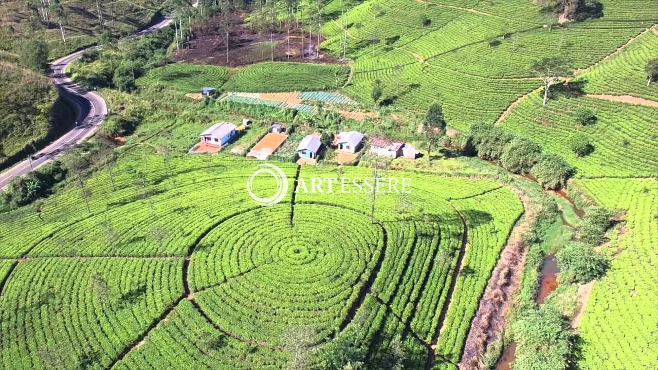 Tea Plantation Workers Museum and Archive