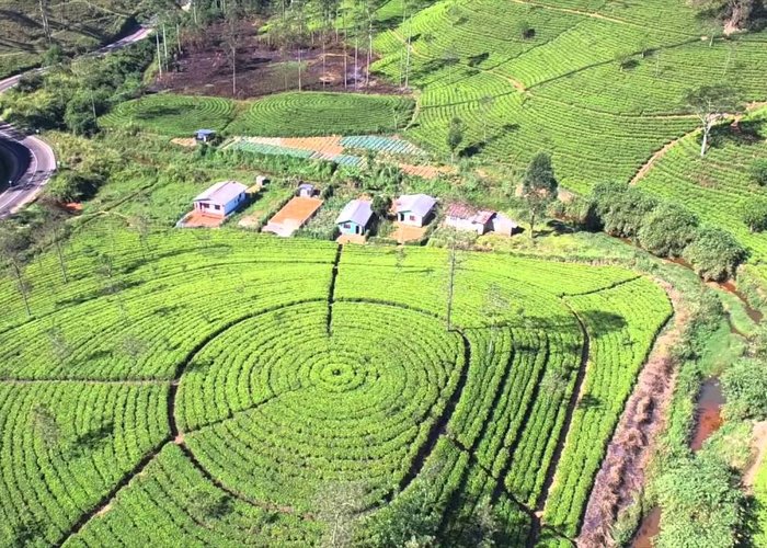Tea Plantation Workers Museum and Archive