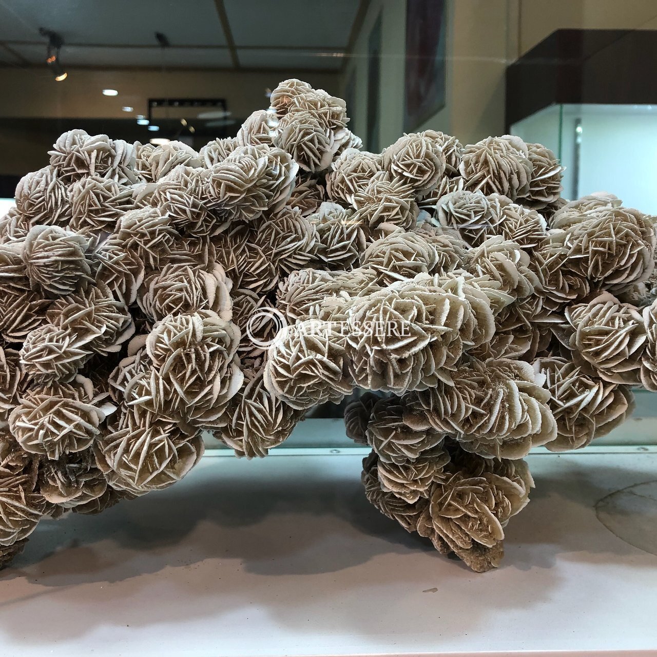 Natural Gems and Gemmological Museum