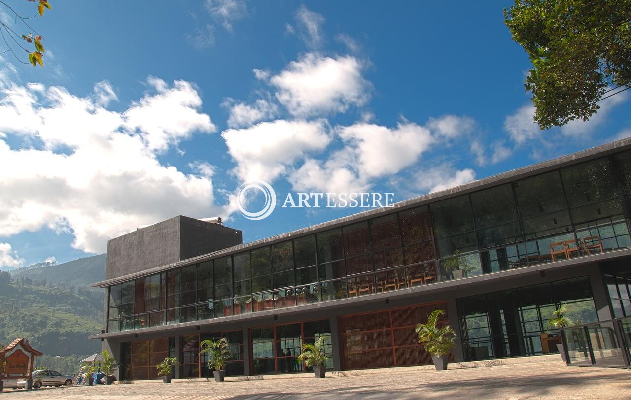 Oak Ray Tea Factory & Museum