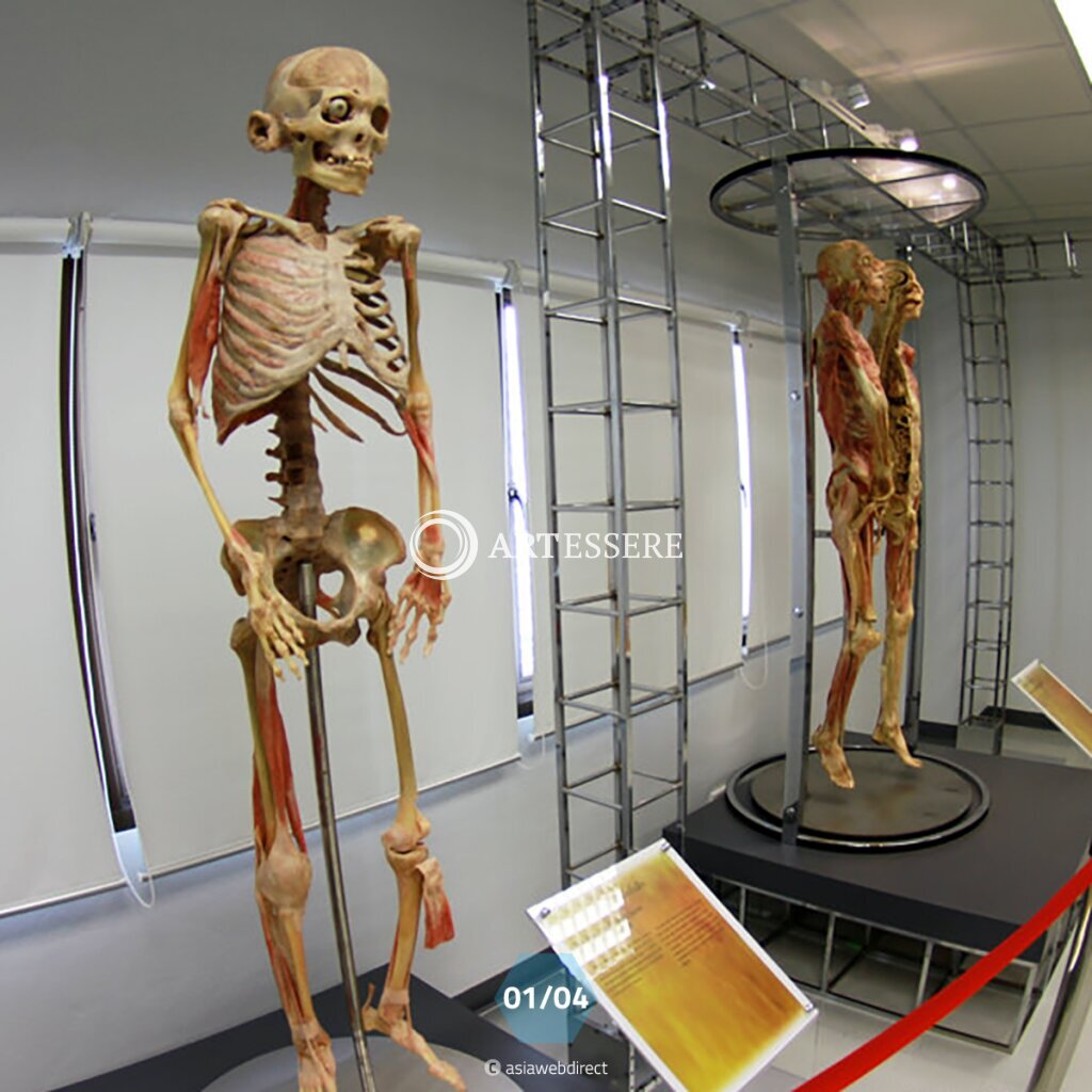 The Human Body Museum