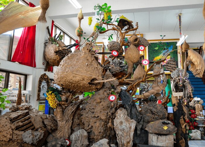 Museum of World Insects and Natural Wonders