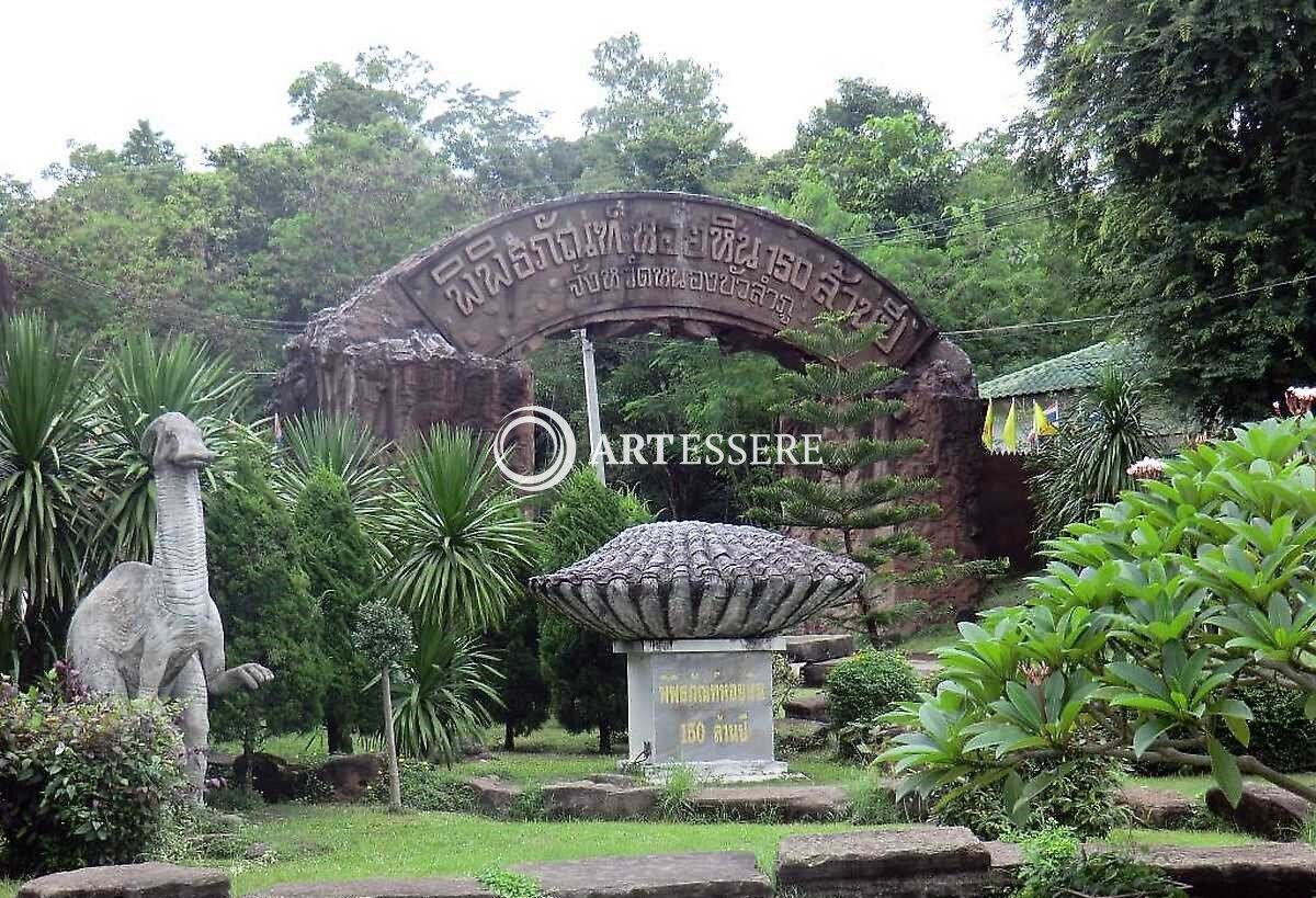 Million-year-old shell fossils