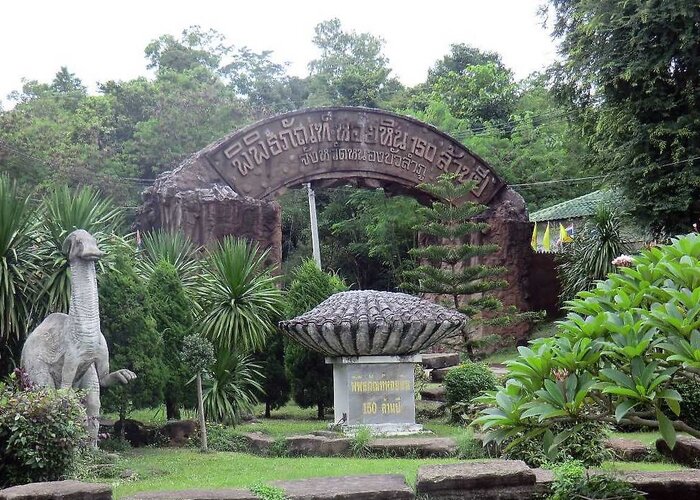 Million-year-old shell fossils