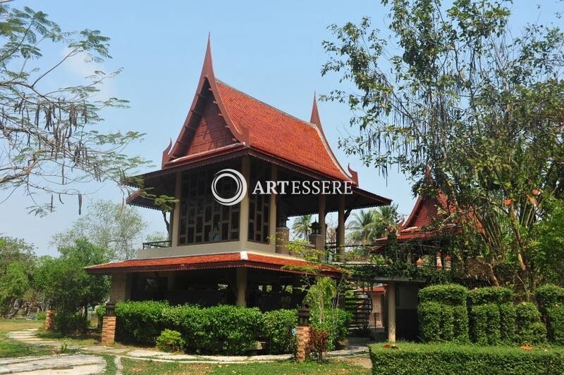 Siamese Fighting Fish Gallery