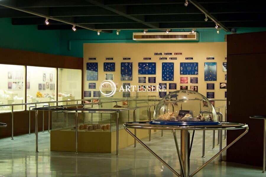 Phuket Seashell Museum