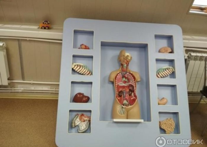 The Quest Museum of Einstein