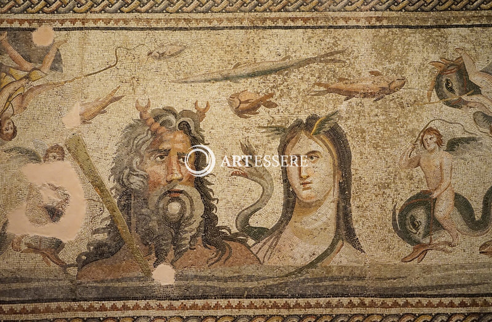Zeugma Mosaic Museum
