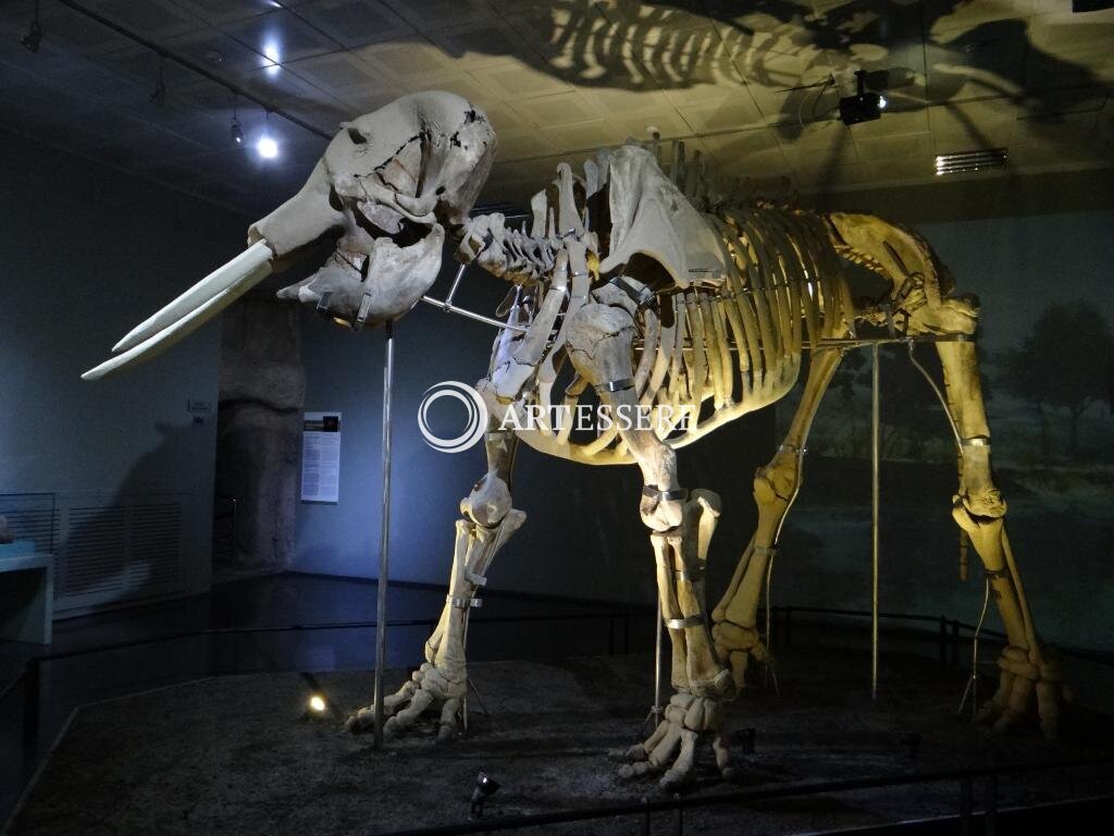 Kahramanmaraş Archeology Museum