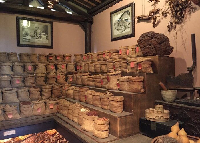 FITO Museum-Museum of Traditioanal Vietnamese Medicine