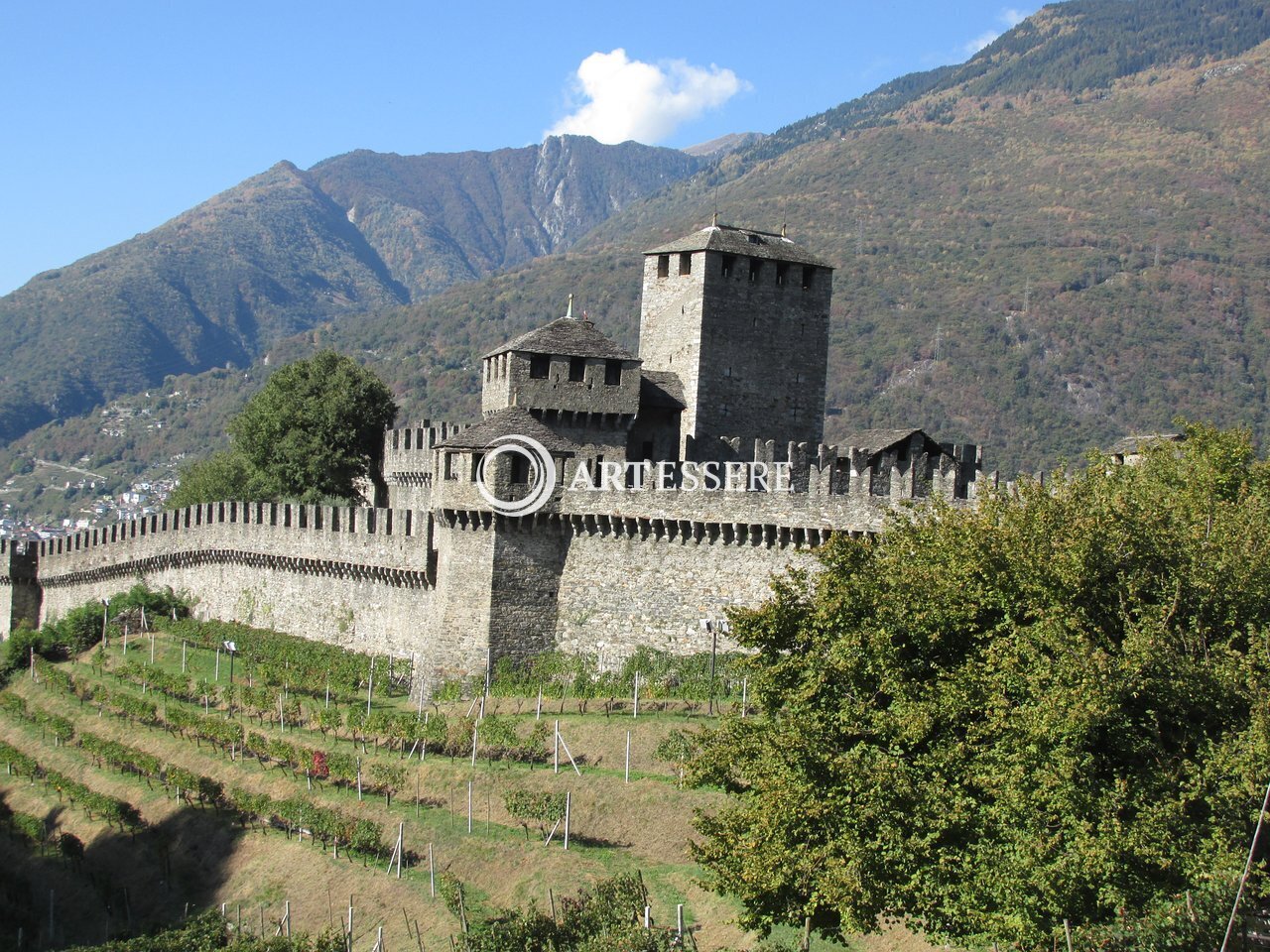Castello Di Montebello E Museo Civico