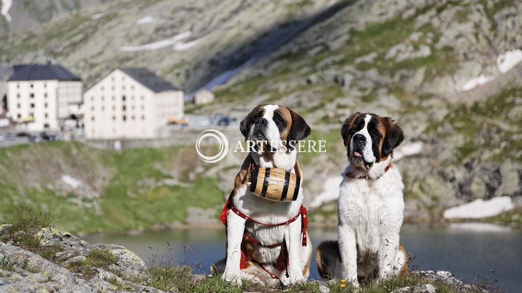Grand St.Bernard Hospice museum