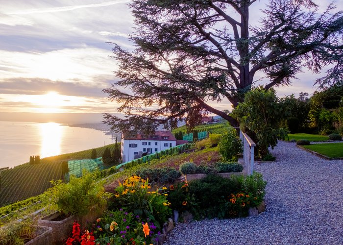 Maison Buttin-de Loës