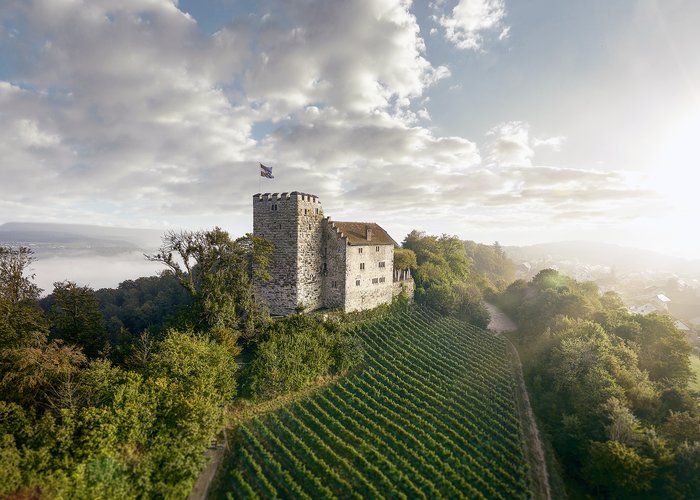 Schloss Habsburg — Museum Aargau