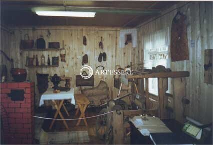 The Museum of Forest